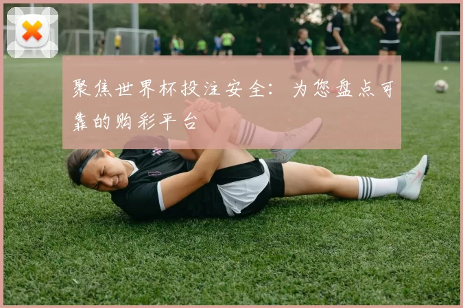 聚焦世界杯投注安全:为您盘点可靠的购彩平台