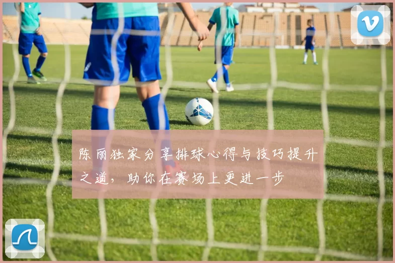陈丽独家分享排球心得与技巧提升之道,助你在赛场上更进一步