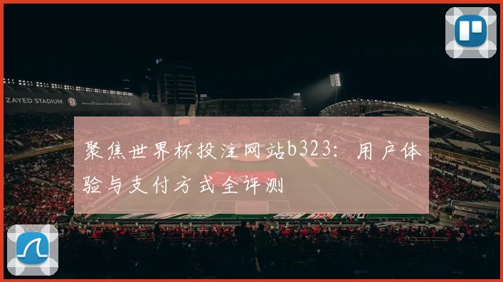 聚焦世界杯投注网站b323：用户体验与支付方式全评测