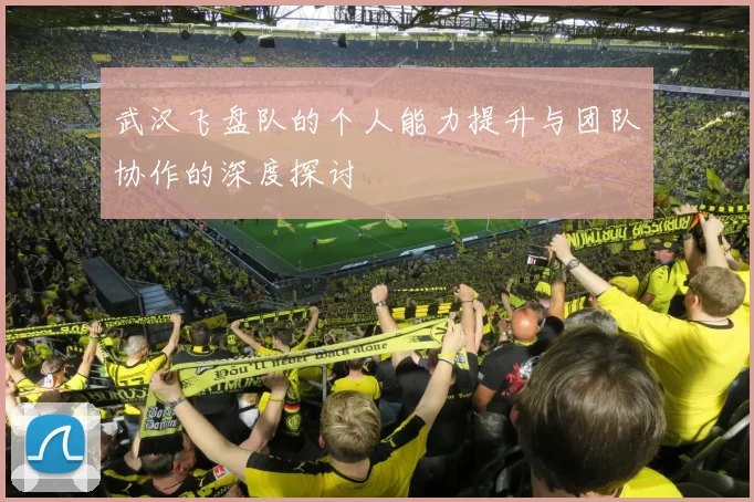 武汉飞盘队的个人能力提升与团队协作的深度探讨