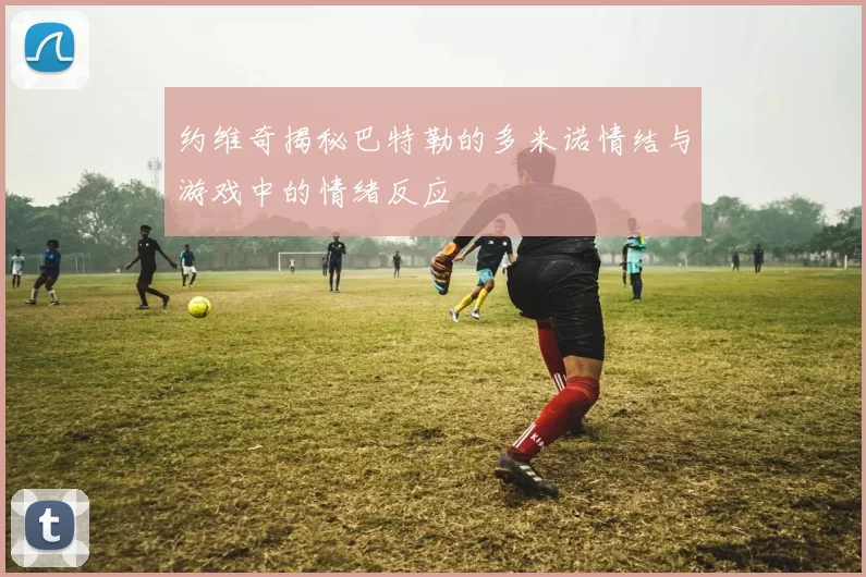 约维奇揭秘巴特勒的多米诺情结与游戏中的情绪反应