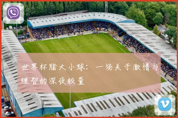 世界杯赌大小球：一场关于激情与理智的深夜较量