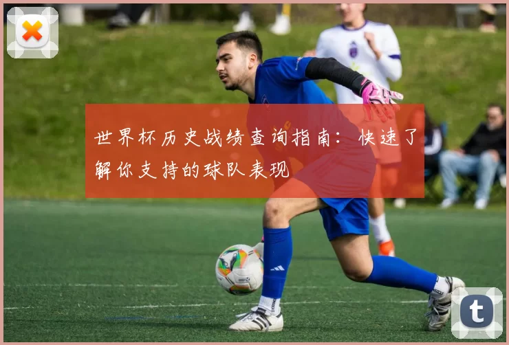 世界杯历史战绩查询指南:快速了解你支持的球队表现