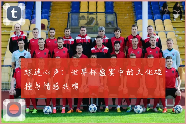 球迷心声:世界杯盛宴中的文化碰撞与情感共鸣