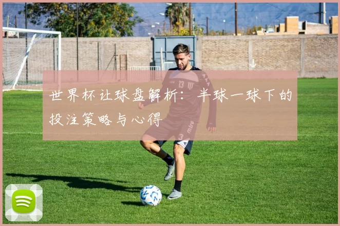 世界杯让球盘解析：半球一球下的投注策略与心得