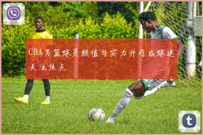 CBA男篮球员颜值与实力并存成球迷关注焦点