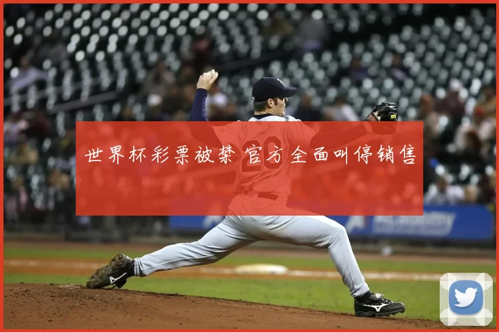 世界杯彩票被禁 官方全面叫停销售