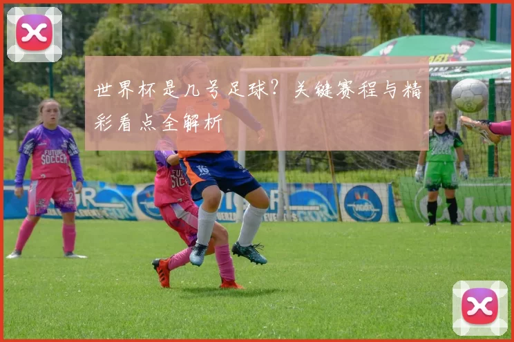 世界杯是几号足球？关键赛程与精彩看点全解析