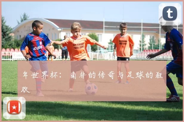 年世界杯:南非的传奇与足球的狂欢