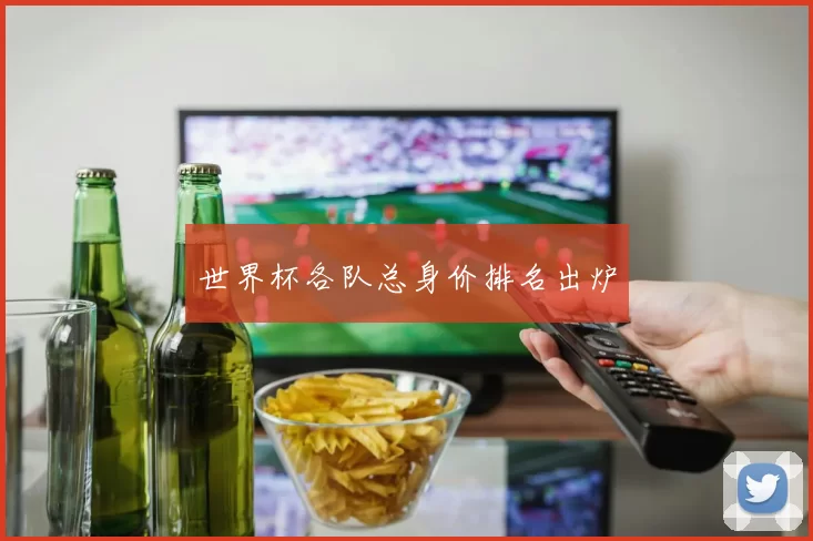 世界杯各队总身价排名出炉