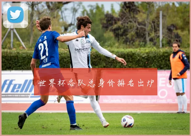 世界杯各队总身价排名出炉